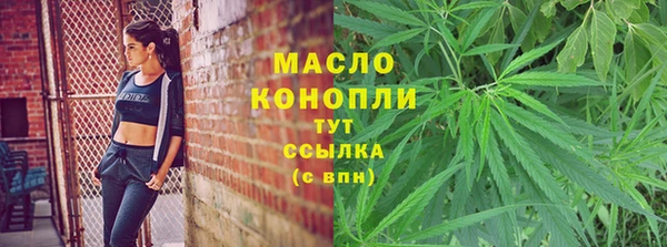 2c-b Снежногорск